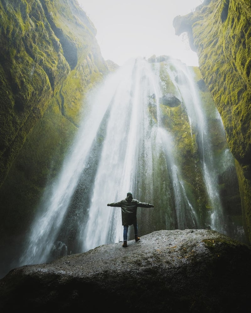 Wild Adventures