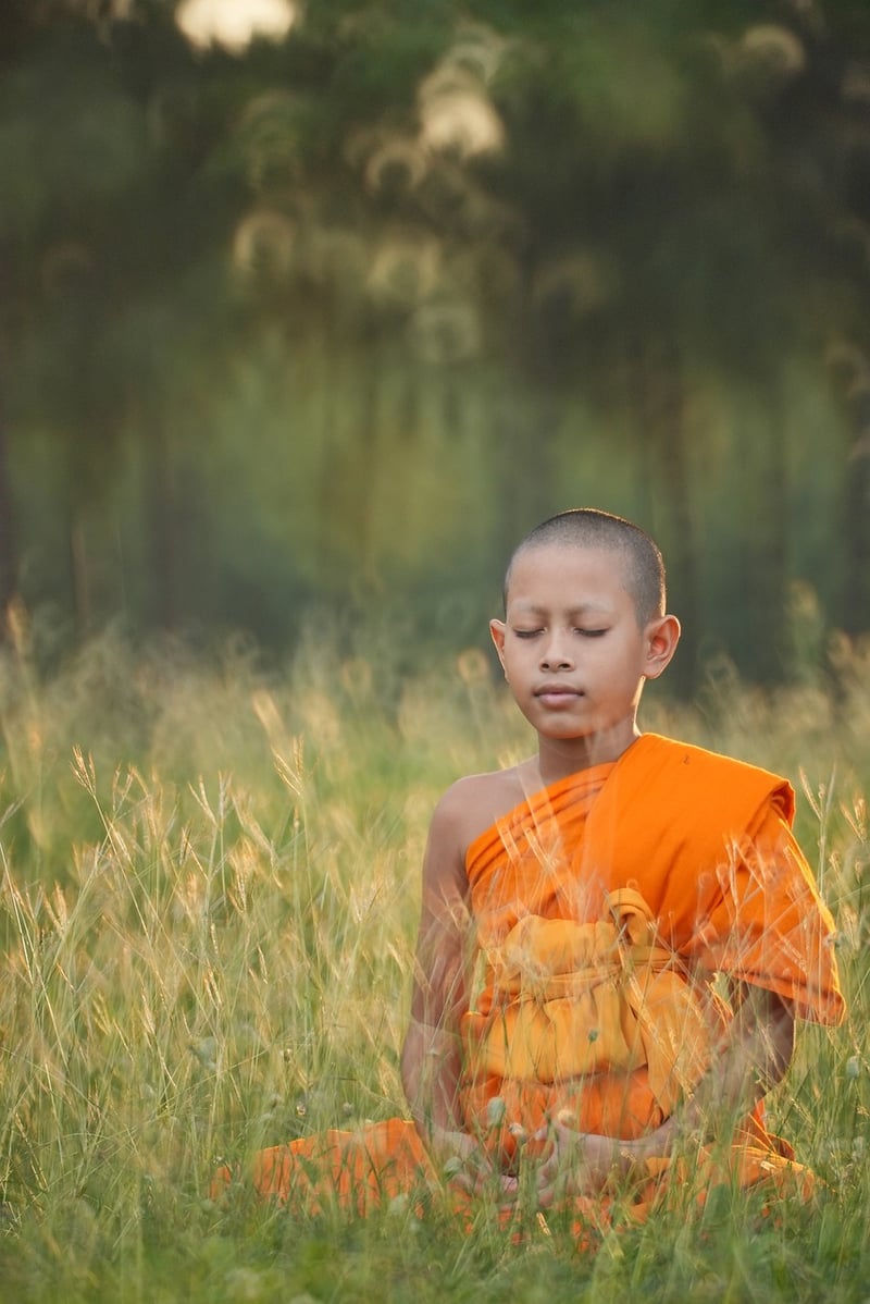 Mindfulness Workshops